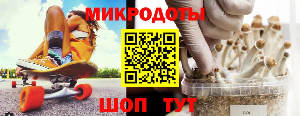 Галлюциногенные грибы мухоморы  Галлюциногенные грибы Psilocybine cubensis  Красноярск  где продают   Вход с VPN 